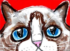 Cat ACEO Painting Art Print Abstract Original Collectible by Samantha McLean