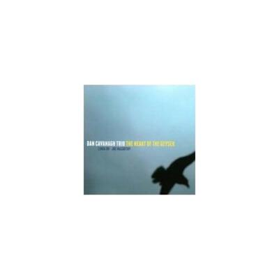 DAN CAVANAGH: HEART OF THE GEYSER - CD