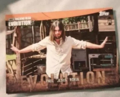 TWD trading cards mystery lot (33) - Picture 2 of 7