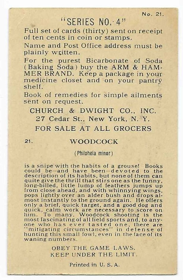 Woodcock Series No 4 Bird Card Arm & Hammer Church & Dwight #21