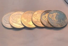1 oz Silver Buffalo Rounds - Total of Six Rounds (6 oz total) - Free Shipping