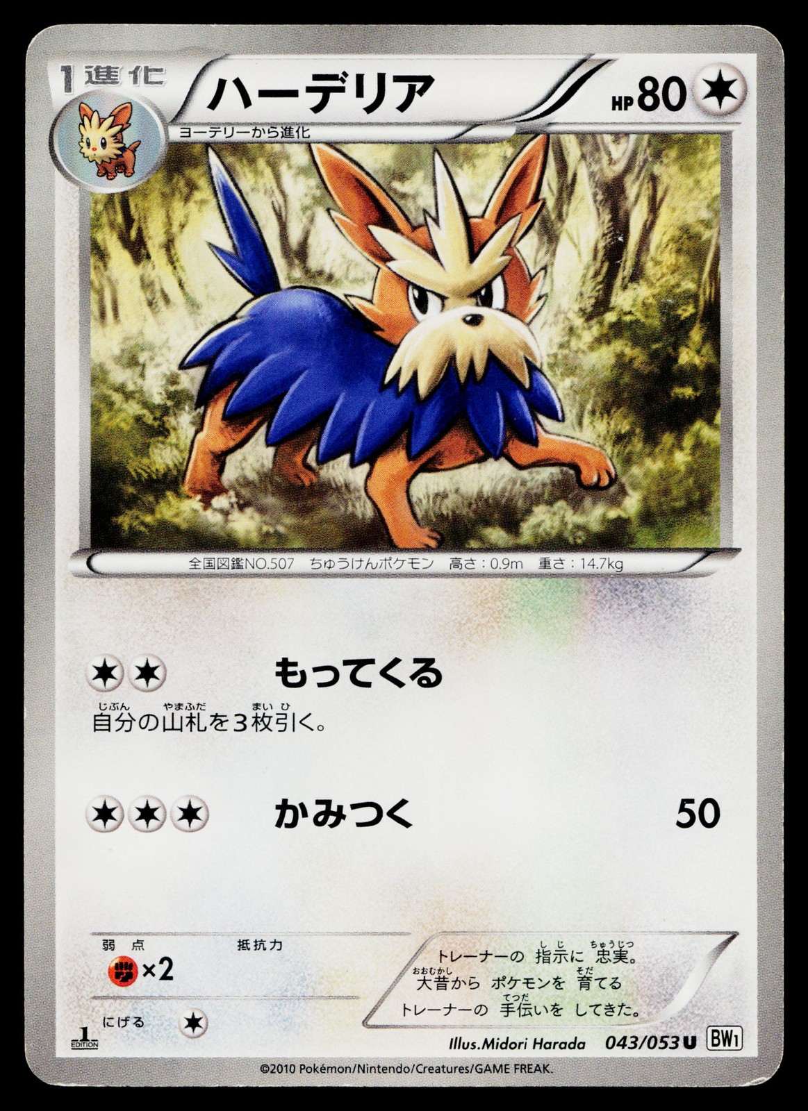 Herdier 043/053 Uncommon White Collection Pokemon Japanese Moderately Played