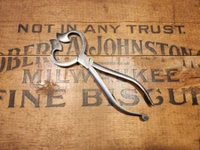 Antique Sugar Nippers