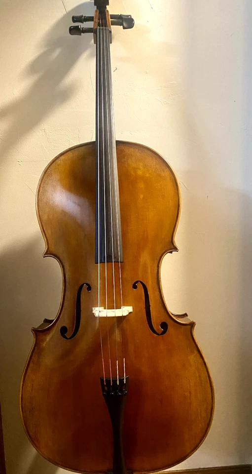 Eastman Strings Cello 4/4 with hard case - Image 4 of 4
