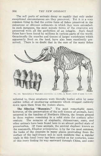 New Geology George McCready Price Creationism SDA Textbook. Historical Geology. - Picture 5 of 6