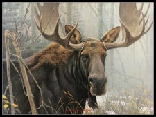 Bull Moose - Counted Cross Stitch Patterns - Color  BW Symbols Chart