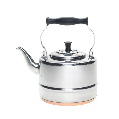 BonJour Tea Kettle 8-Cup Stovetop Vintage Silver Stainless Steel Gooseneck Spout