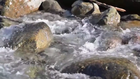 Video 1 van 1