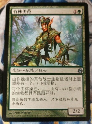 Bramblewood Paragon Chinese MTG Morningtide Uncommon Slightly Played x1 JS2