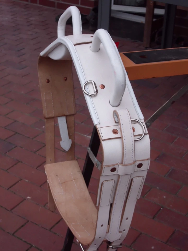 Voltigiergurt Leder m. Beinschlaufen festen Griffen Mini-Shetty -Warmblut 2-Wahl - Bild 3 von 4