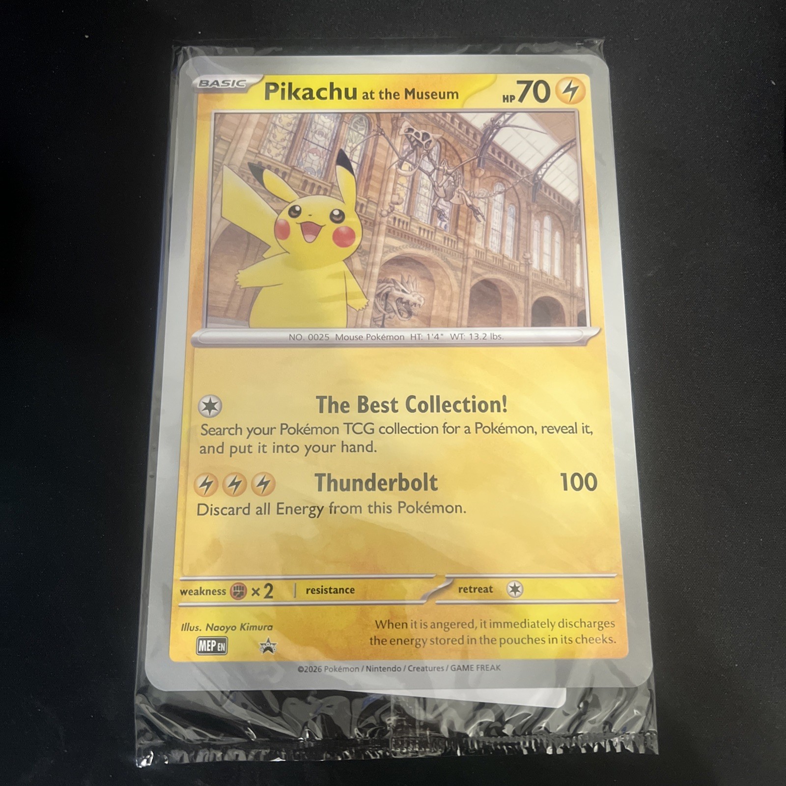 Pikachu At The Museum Jumbo Promo Card Pokemon Natural History Museum SEALED 