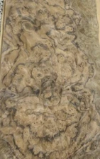 Walnut Burl wood veneer 9" x 16" raw no backing 1/42" thickness AAA grade sheet