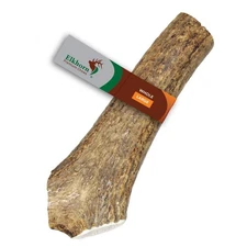 Large Whole Elk Antler for Dogs 35-65 lbs Premium Grade Sourced in USA