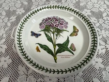 Portmeirion - Botanic Garden - Sweet William - Salad Plate - 8.5 Inches