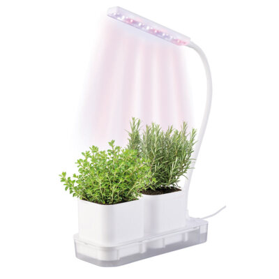 PEARL Mini-Gewächs- & Anzucht-Station, 2 Töpfe, Wachstums-LEDs & Wassertank