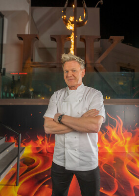 A4 Gordon Ramsay Poster (brandneu)