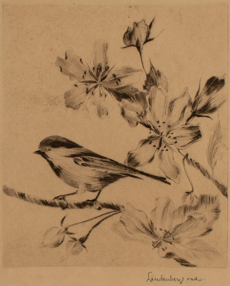 Eugen Lindenberg Vogel auf einem Blütenzweig Jugendstil signiert Radierung 20 Jh - Bild 3 von 3
