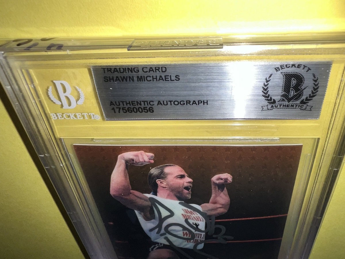 1999 Comic Images WWF SmackDown! Chromium - Shawn Michaels #29 for