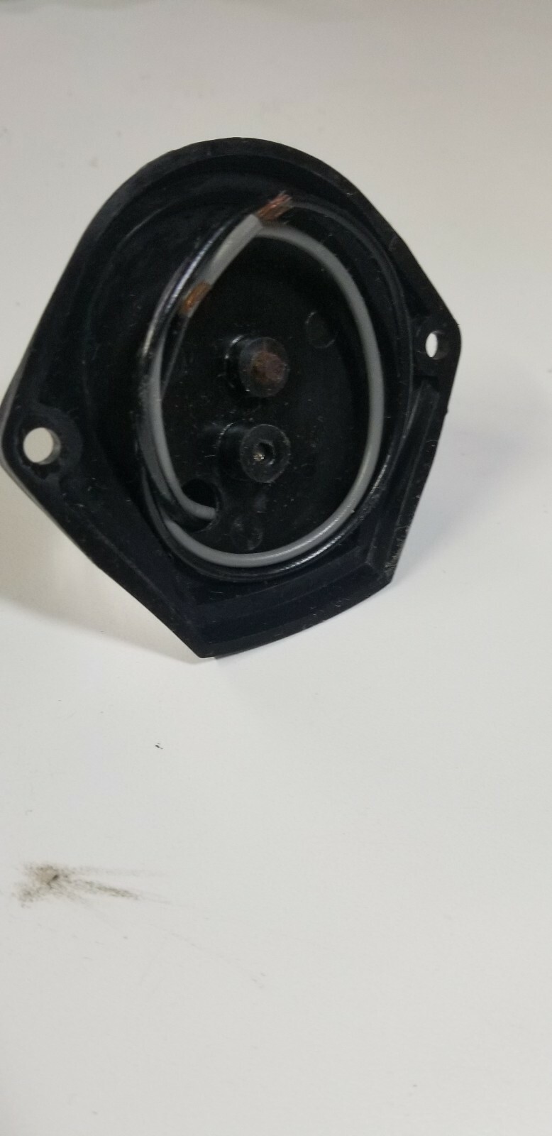 Picture 8 of 12