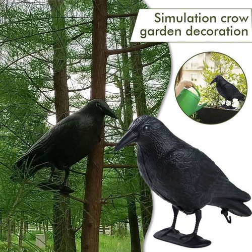 Plastic Simulation Crows Garden Deco Statue Hunting Decor Bait Protect X2B7 K9O8 - Picture 3 of 12