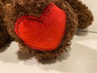 Bild 11 von 16