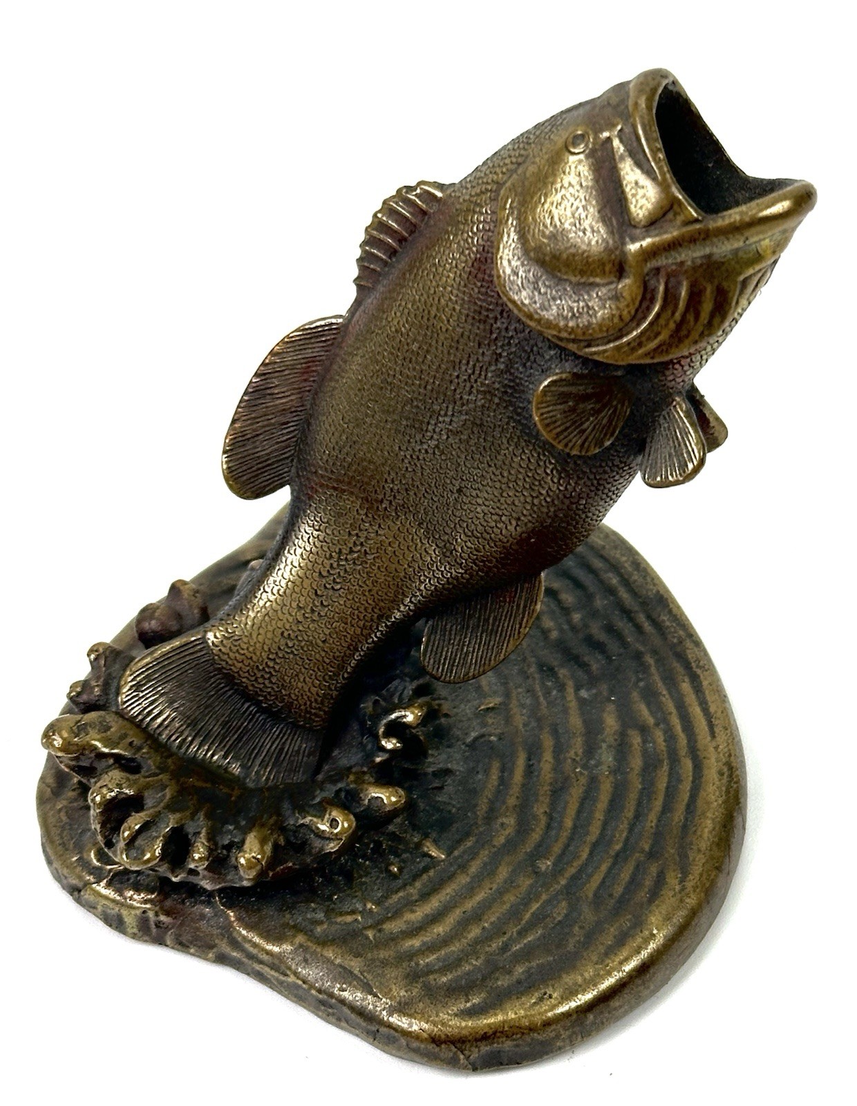 Foto 1 di 15