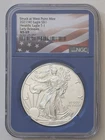 2021(W) SILVER 1 OZ NGC MS69 HERALDIC EAGLE T-1 EARLY RELEASES FLAG CORE SKU 007
