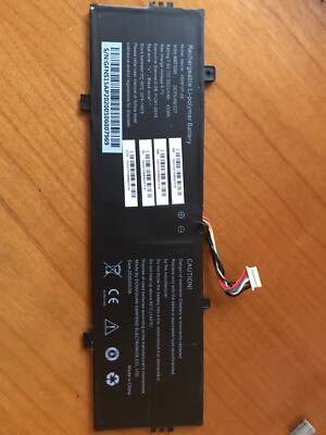 Rechargeable Li-polymer Battery