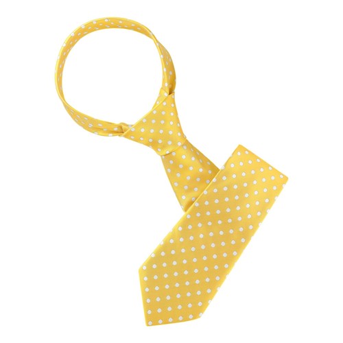 Men's Polka Dot Neck Ties - 2 Inch Wide, 56 Inch Long, 9 Designs, Polyester