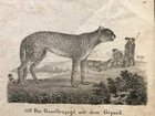 The Gazelle Hunt with the Cheetah, "New Picture Gallery for Youth", 1829, I