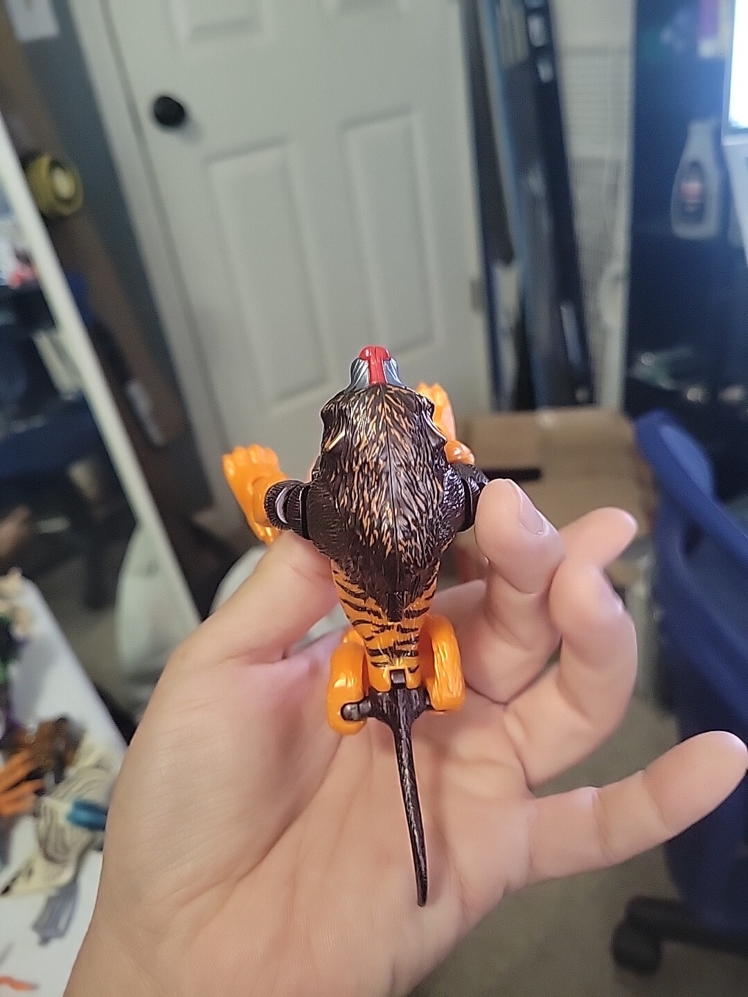 Picture 6 of 7