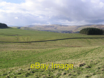 Photo 6x4 Oakwood Roman Fort Fauldshope The sheep beyond the dyke are wit c2007