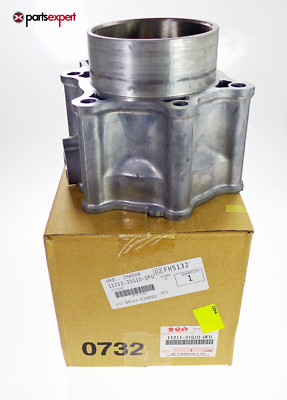 Neu OEM SUZUKI Zylinder Cylinder Jug SUZUKI KING QUAD 700 LT-A700X (05-07) EXPRE