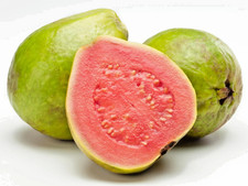 3.000+ semillas de guayaba roja vietnamita (Psidium guajava) para plantar