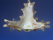 Murano Style Stretched Art Glass Brown And White Bowl
