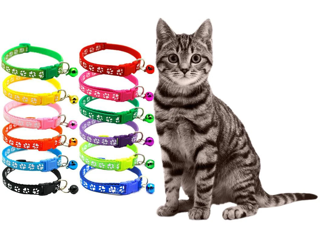 Strong cat collar cheap