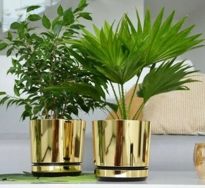 SPARKLE PLANTS Korad Indoor Mirror Gold Plant Pots with Saucer and Drainage Holes Flower Stand