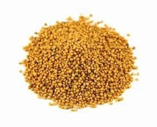 Oriental Mustard Seeds - 8 Ounces - Whole Hot Mustard Seeds