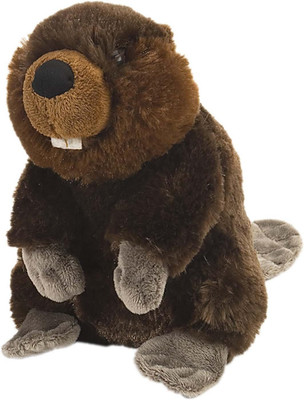 Beaver Plush, Stuffed Animal, Plush Toy, Gifts for Kids, Cuddlekins 8 Inches,Mul