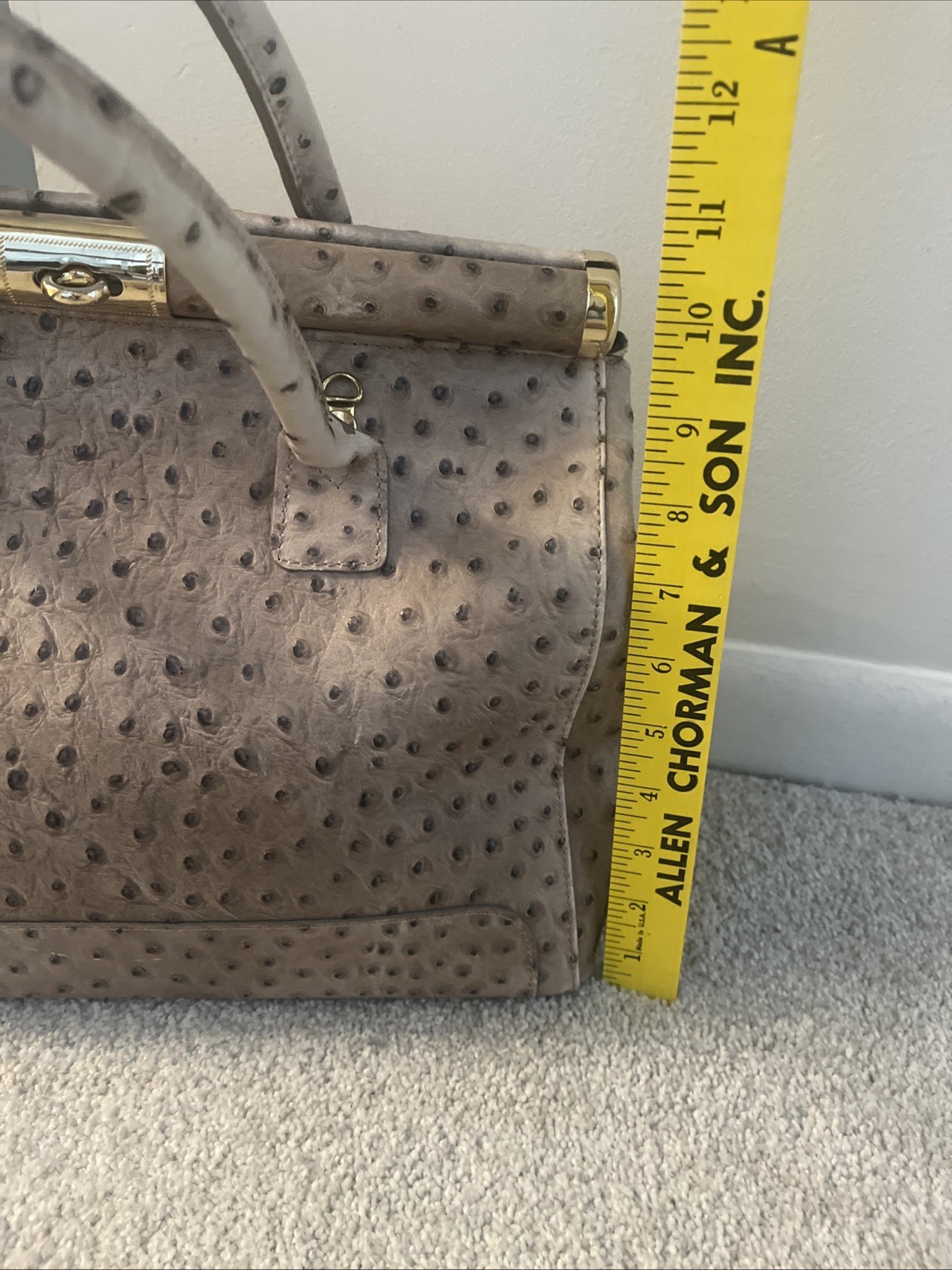 Genuine PELLE DI GIADA Merci Marie Italy  leather Ostrich Handbag Hermes Style thumbnail 18