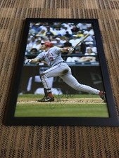 Autograph framed 20x30 signed by Tim Salmon.