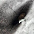 Bild 14 von 19