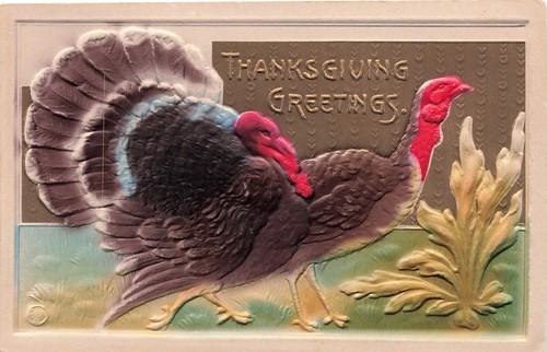 VINTAGE THANKSGIVING POSTCARD TWO TURKEYS GOBBLER AND HEN c1910 ...