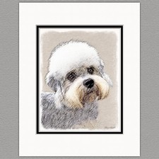 Dandie Dinmont Terrier Original Art Print 8x10 Matted to 11x14