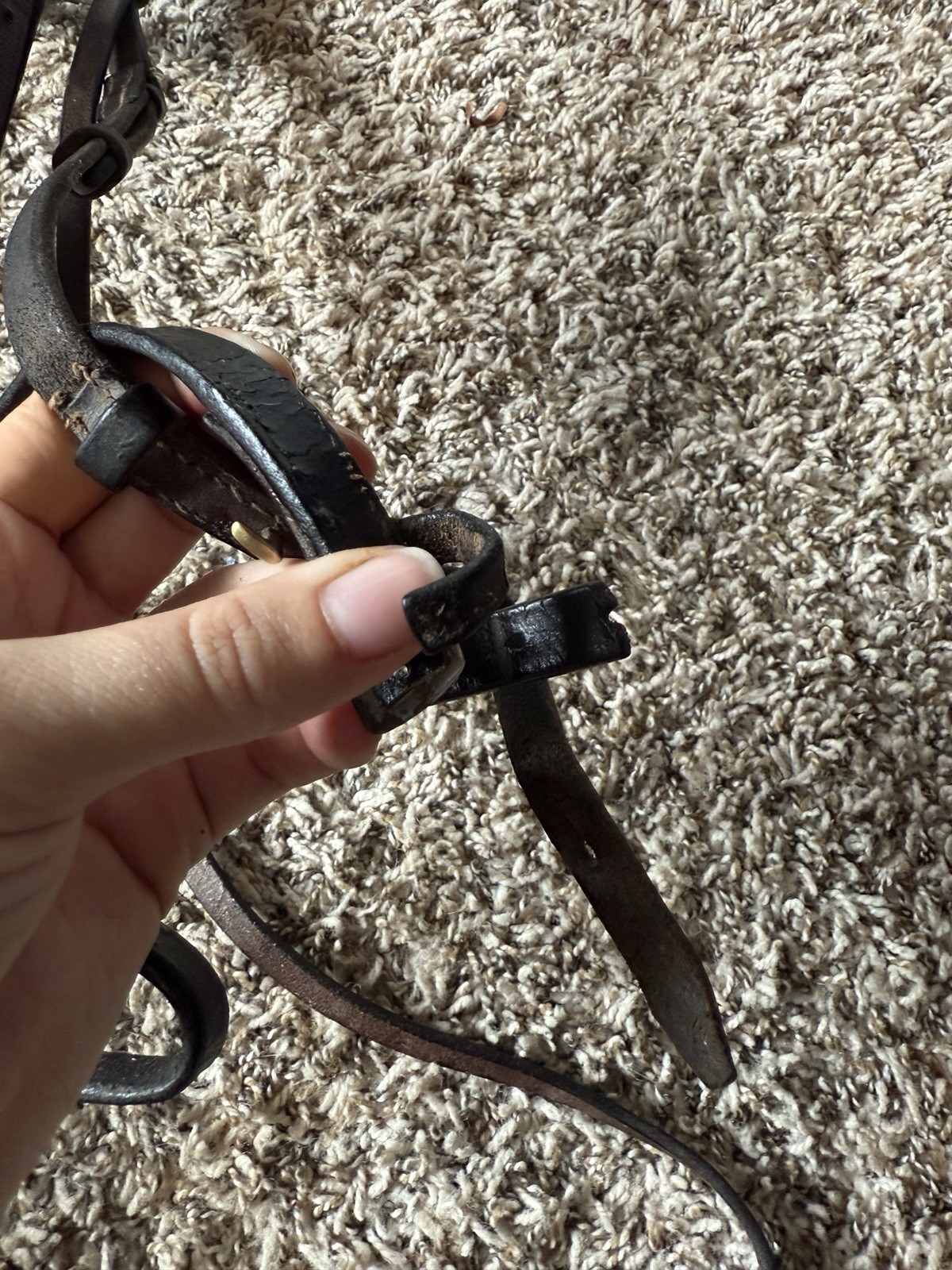 Horse size brown leather schooling english bridle (no reins)