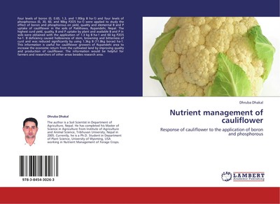 Dhruba Dhakal | Nutrient management of cauliflower | Taschenbuch | Englisch
