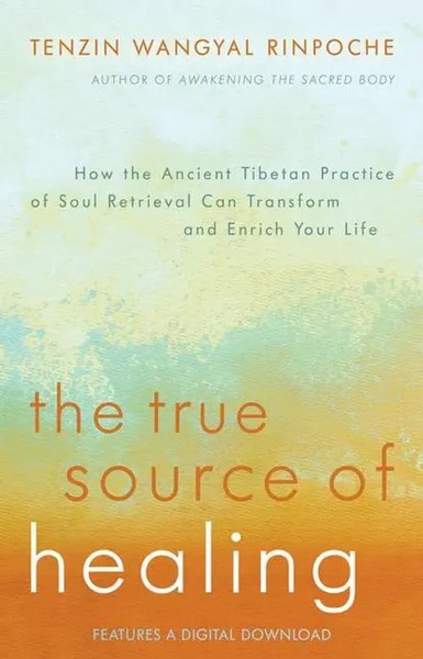 The True Source Of Healing | Tenzin Wangyal Rinpoche | Englisch | Taschenbuch-image