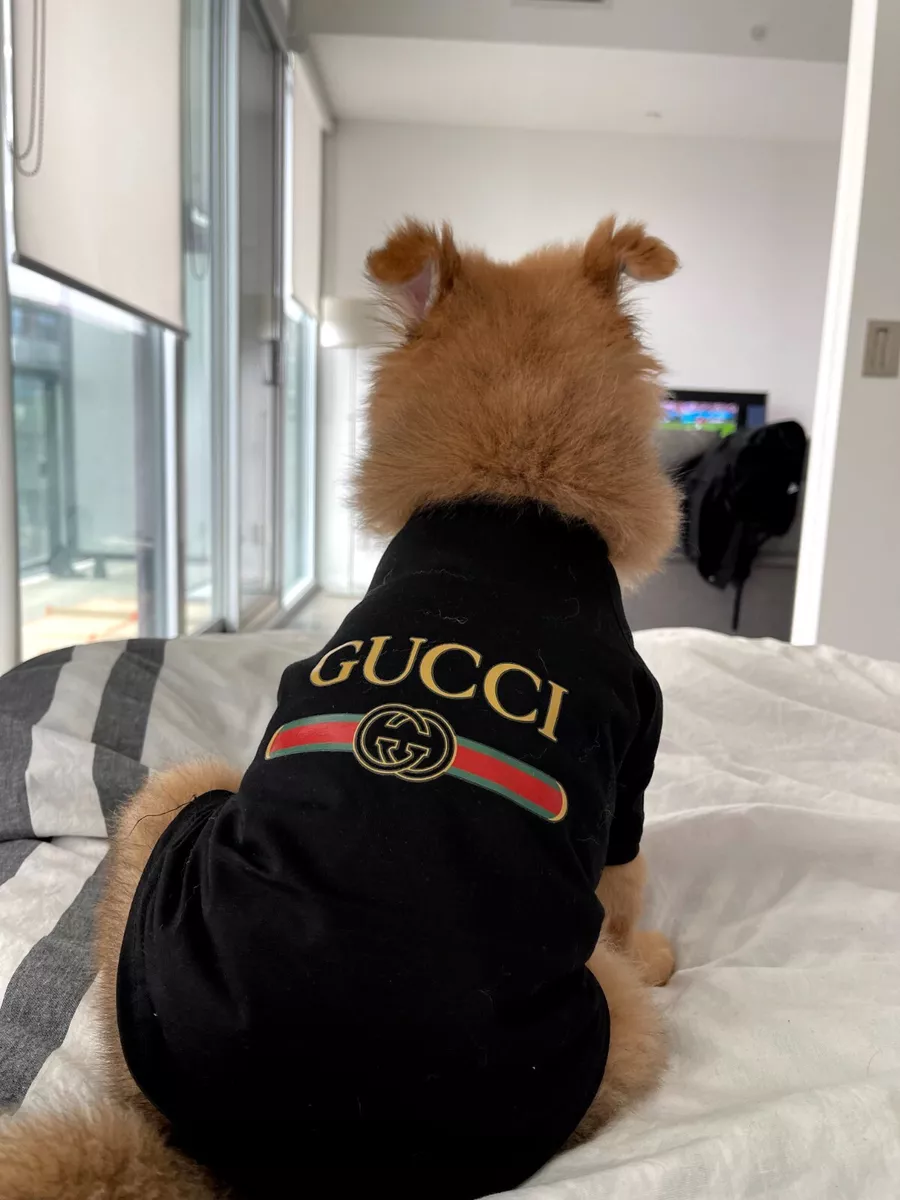 chanel dog vest