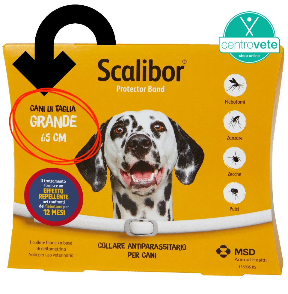 Scalibor hotsell dog collar