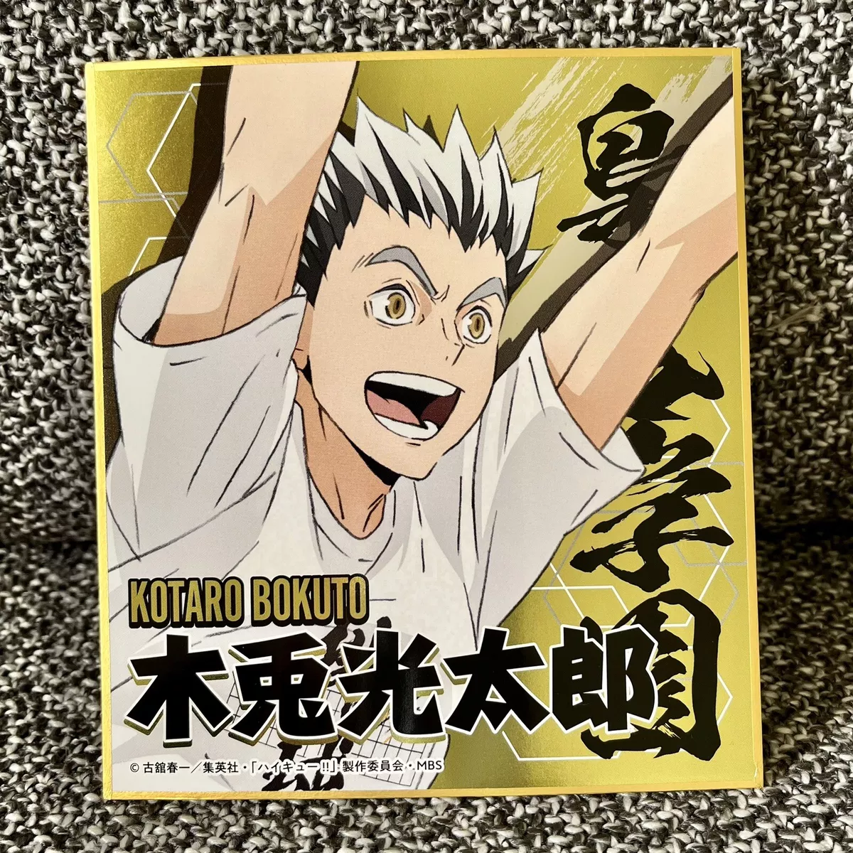 Bokuto Akaashi Haikyuu!! Exclusive Anime Manga Japan Comics Official